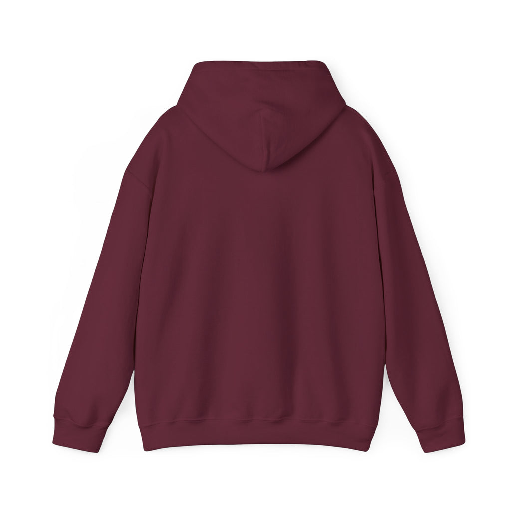 Gouldian Finch Trio Hoodie — Colorful Tropical Bird Graphic Pullover