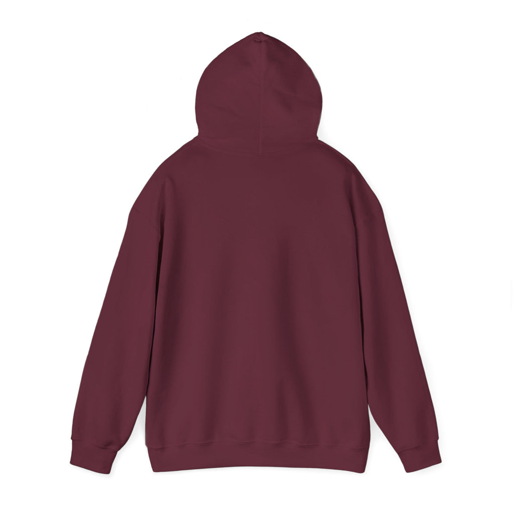Gouldian Finch Trio Hoodie — Colorful Tropical Bird Graphic Pullover