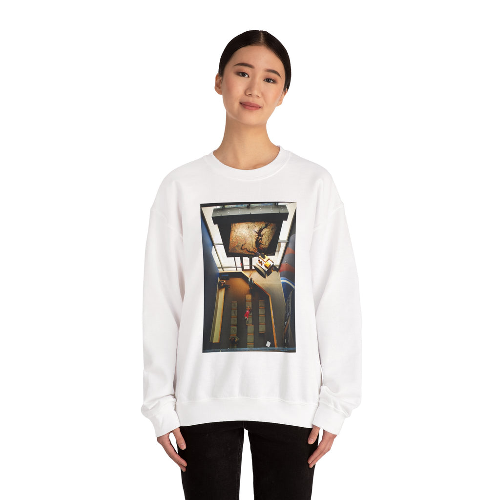 Air & Space Interior Birds-Eye View Sweatshirt