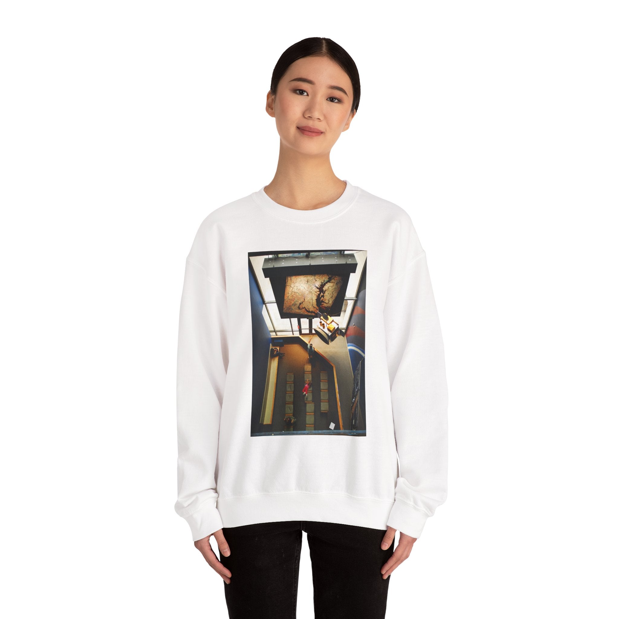 Air & Space Interior Birds-Eye View Sweatshirt