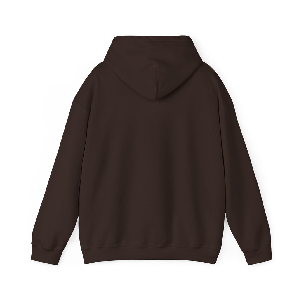 Gouldian Finch Trio Hoodie — Colorful Tropical Bird Graphic Pullover