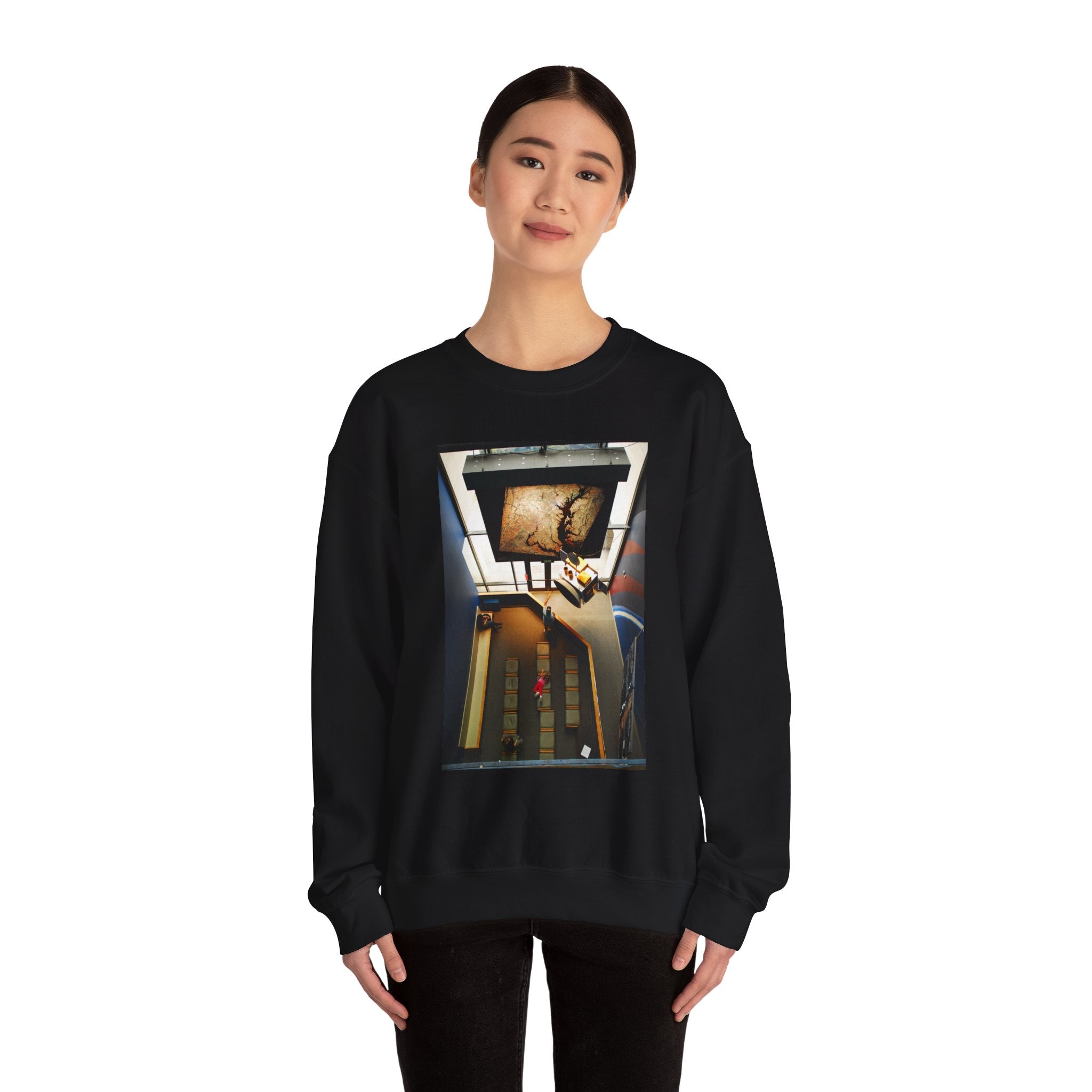 Air & Space Interior Birds-Eye View Sweatshirt