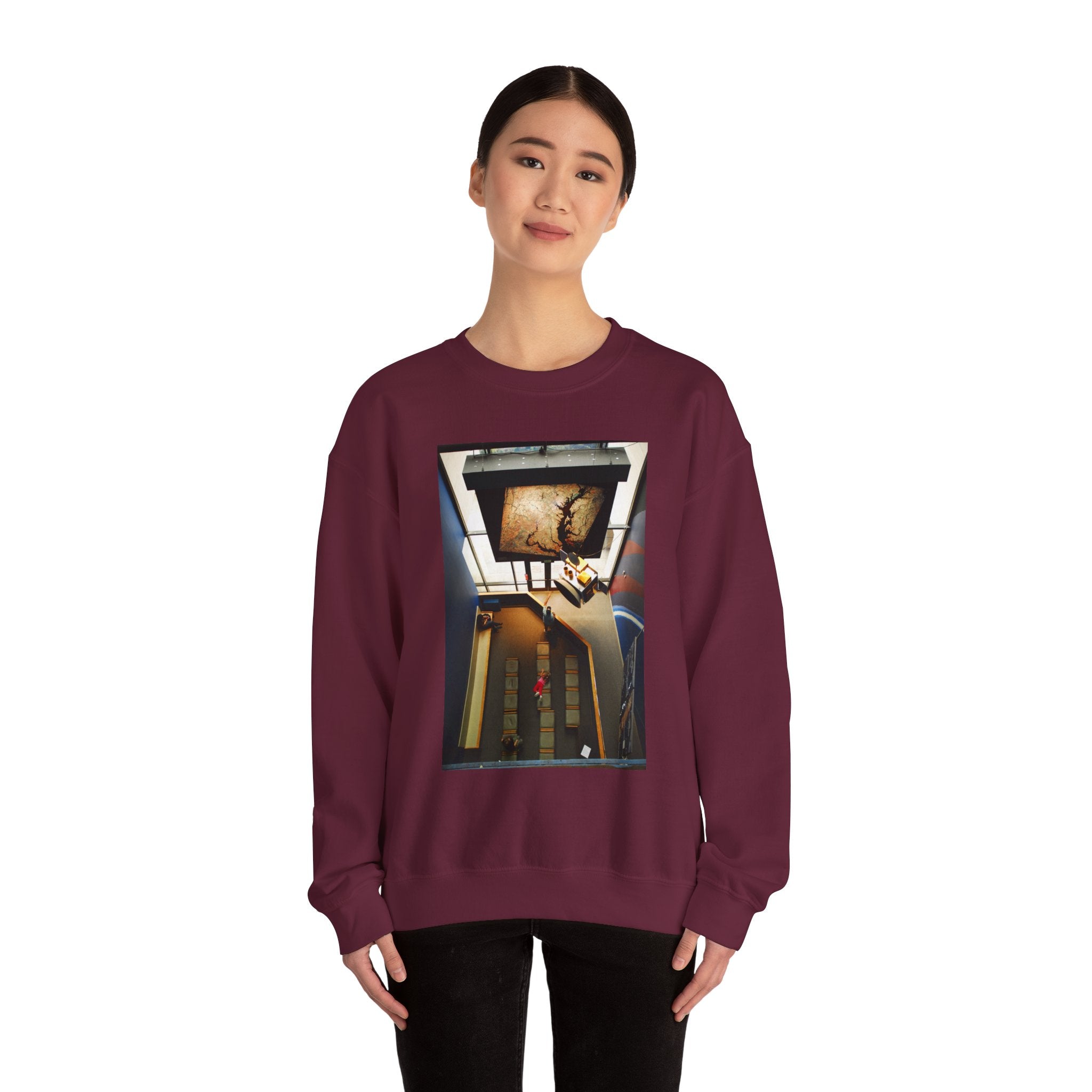 Air & Space Interior Birds-Eye View Sweatshirt