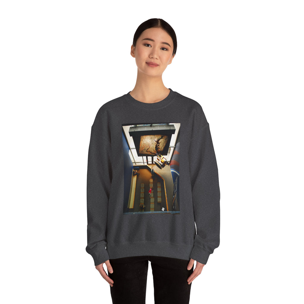 Air & Space Interior Birds-Eye View Sweatshirt