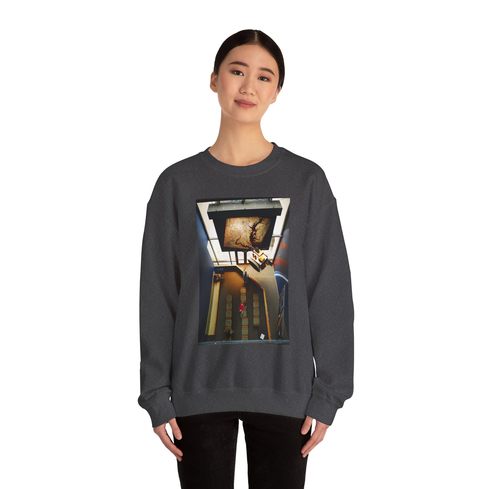 Air & Space Interior Birds-Eye View Sweatshirt