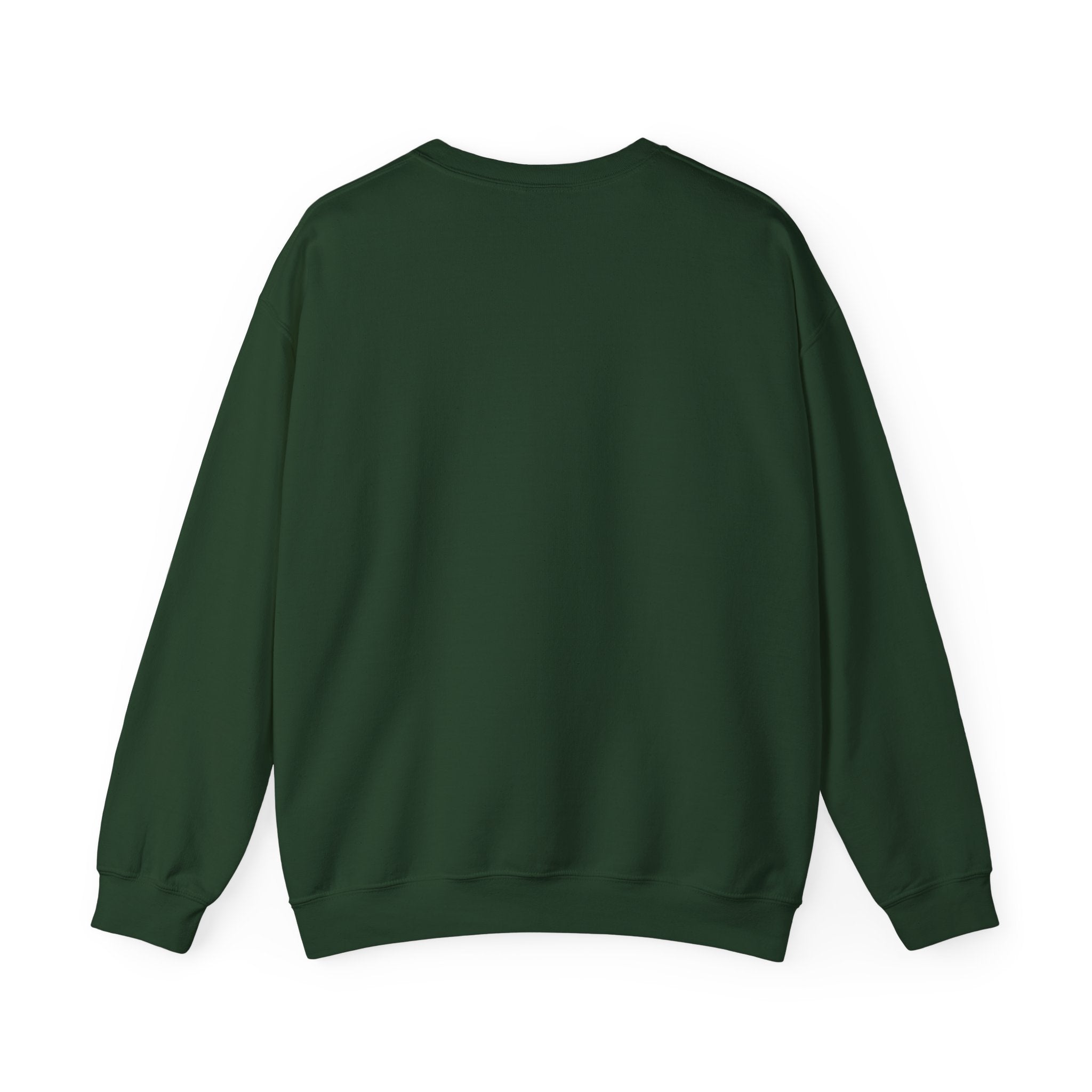 Air & Space Interior Birds-Eye View Sweatshirt