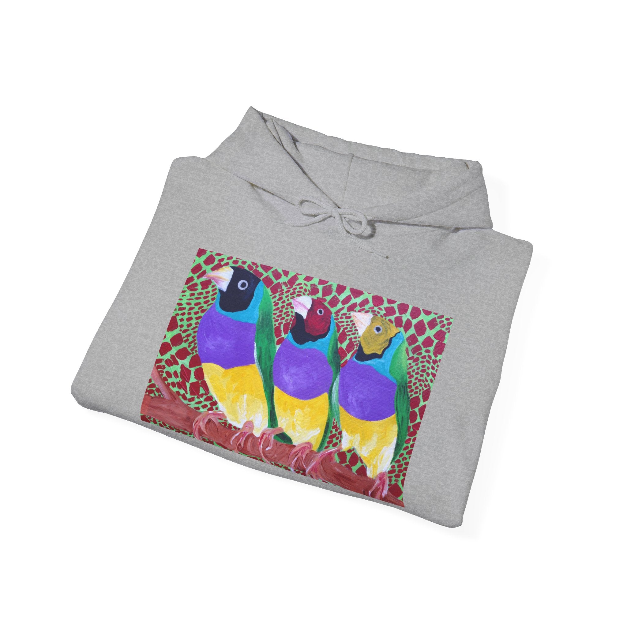 Gouldian Finch Trio Hoodie — Colorful Tropical Bird Graphic Pullover