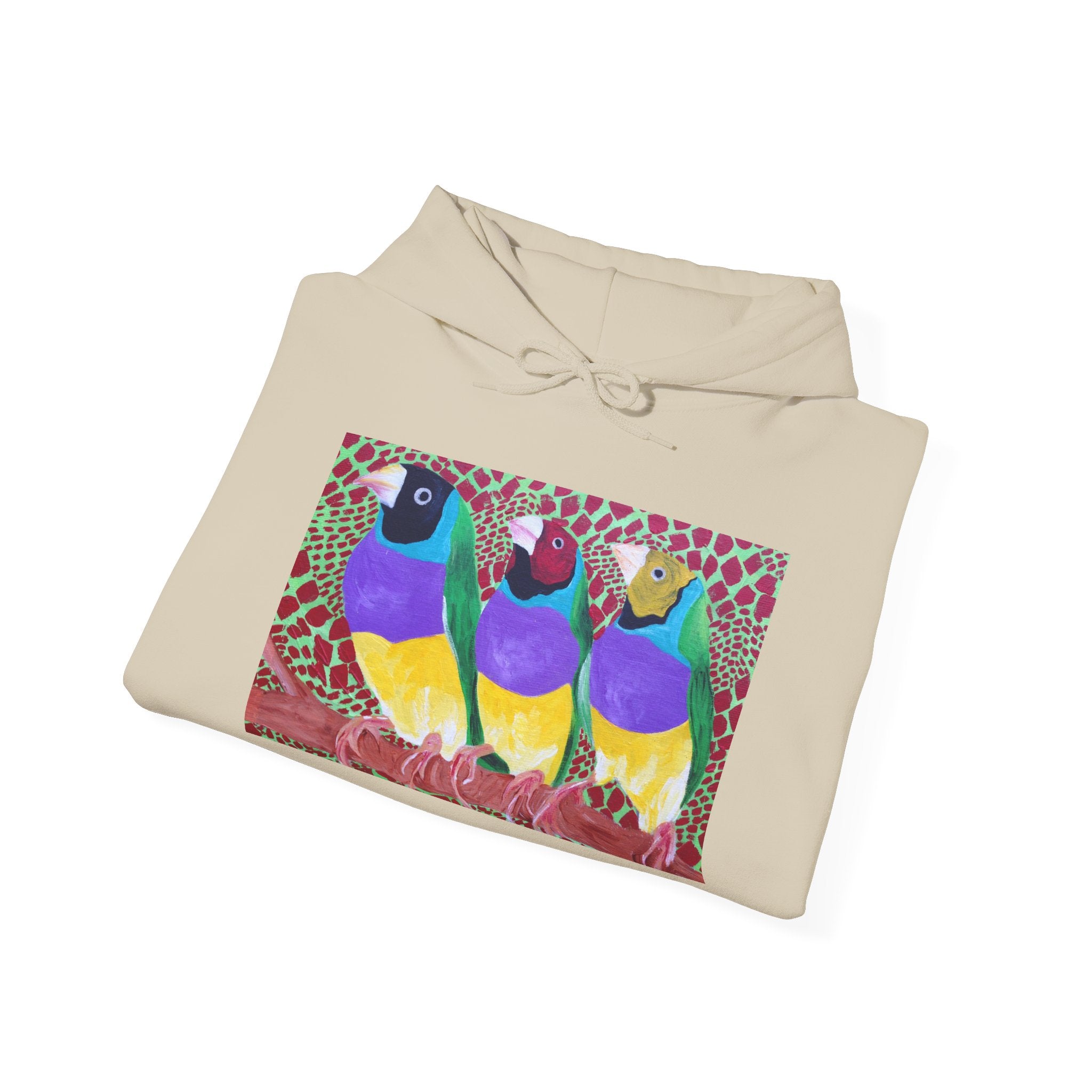 Gouldian Finch Trio Hoodie — Colorful Tropical Bird Graphic Pullover