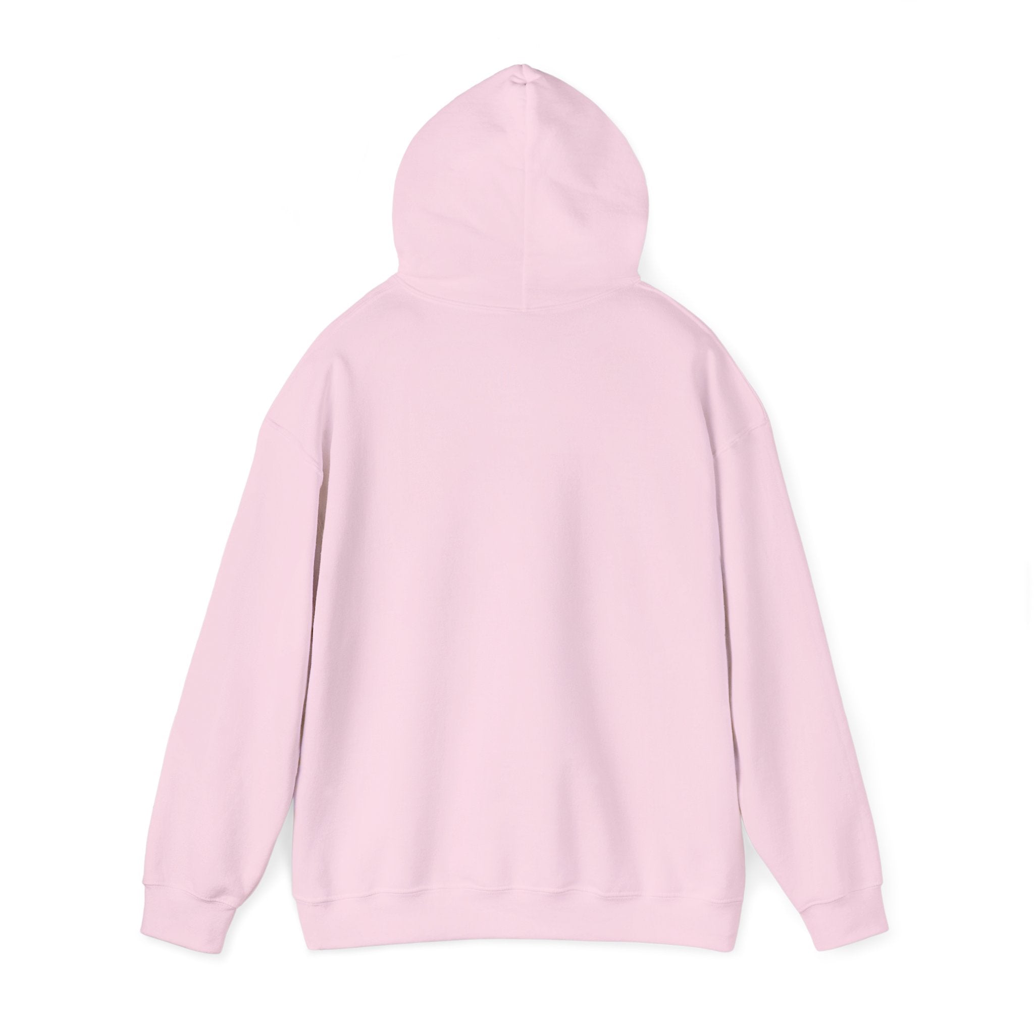 Gouldian Finch Trio Hoodie — Colorful Tropical Bird Graphic Pullover