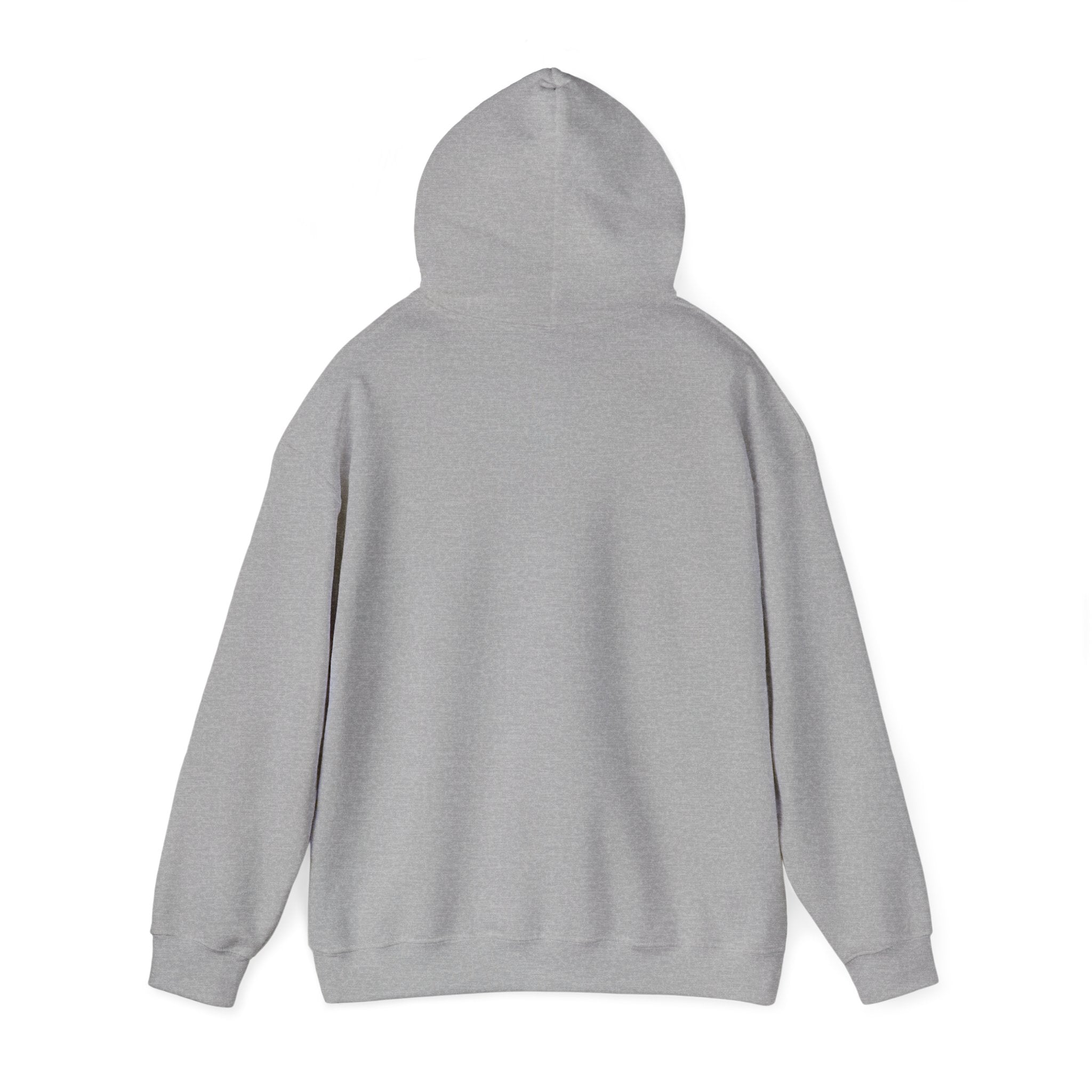 Gouldian Finch Trio Hoodie — Colorful Tropical Bird Graphic Pullover
