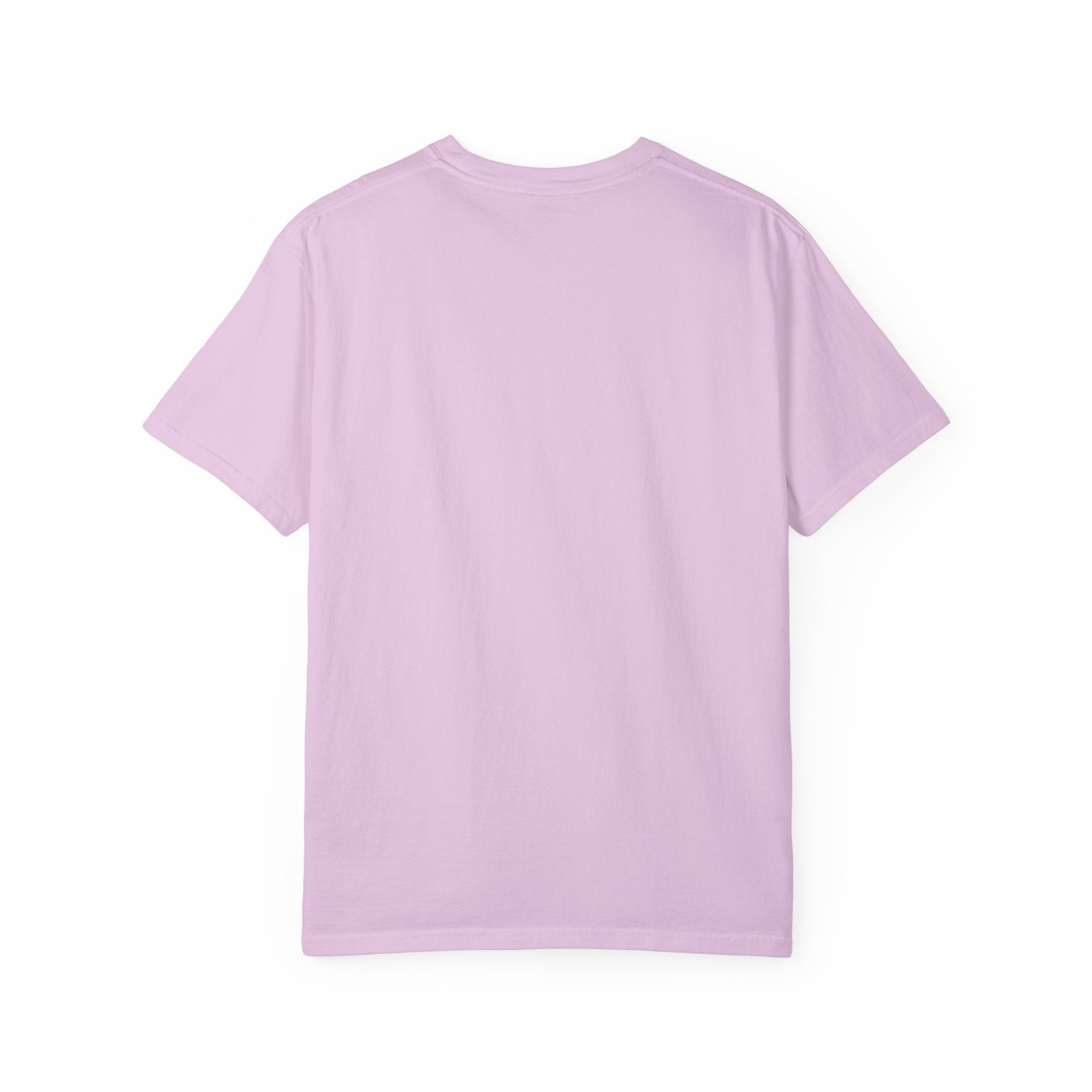 Air & Space Interior Birds-Eye View T-Shirt