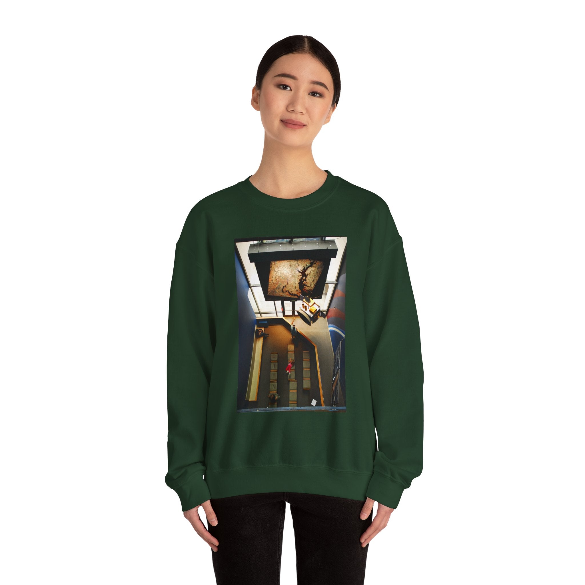 Air & Space Interior Birds-Eye View Sweatshirt