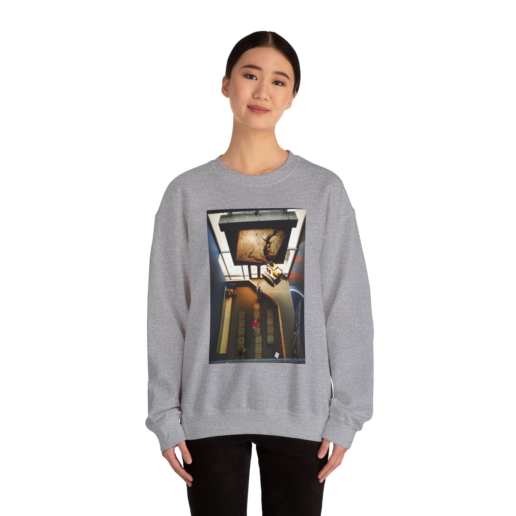 Air & Space Interior Birds-Eye View Sweatshirt