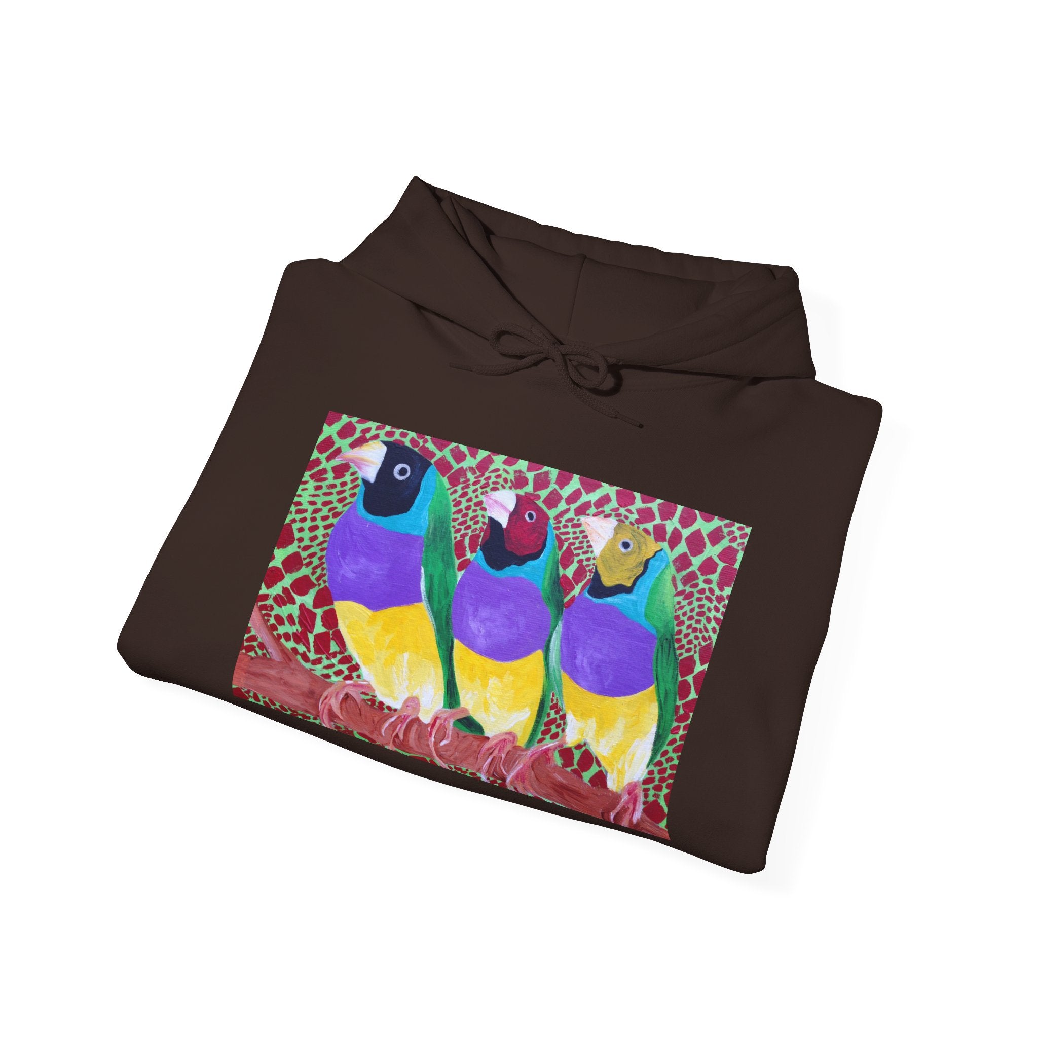 Gouldian Finch Trio Hoodie — Colorful Tropical Bird Graphic Pullover