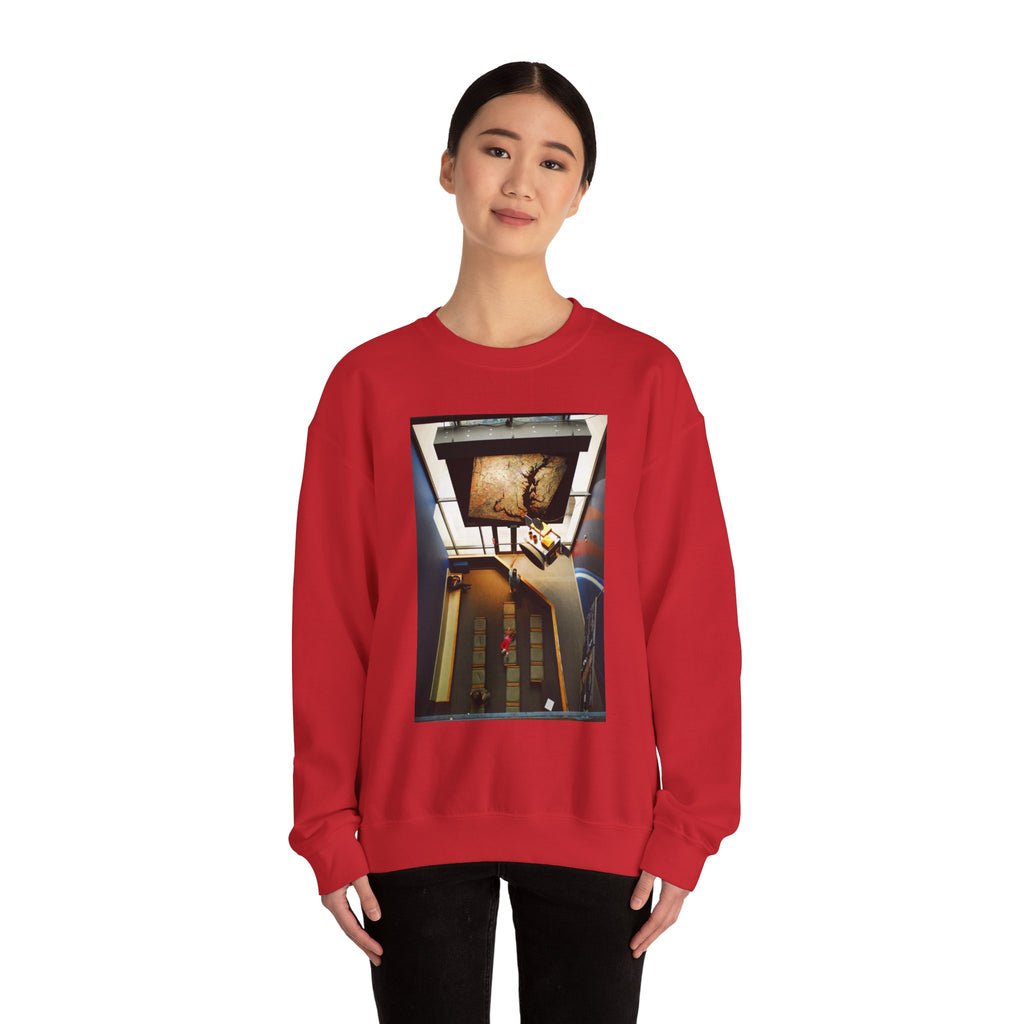Air & Space Interior Birds-Eye View Sweatshirt