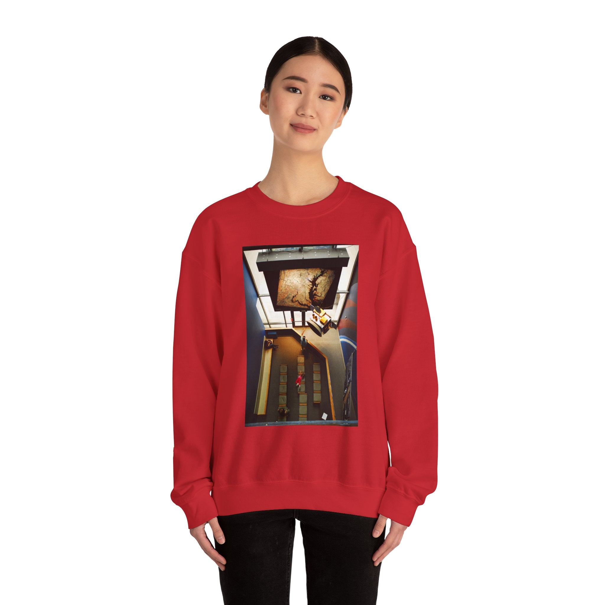Air & Space Interior Birds-Eye View Sweatshirt