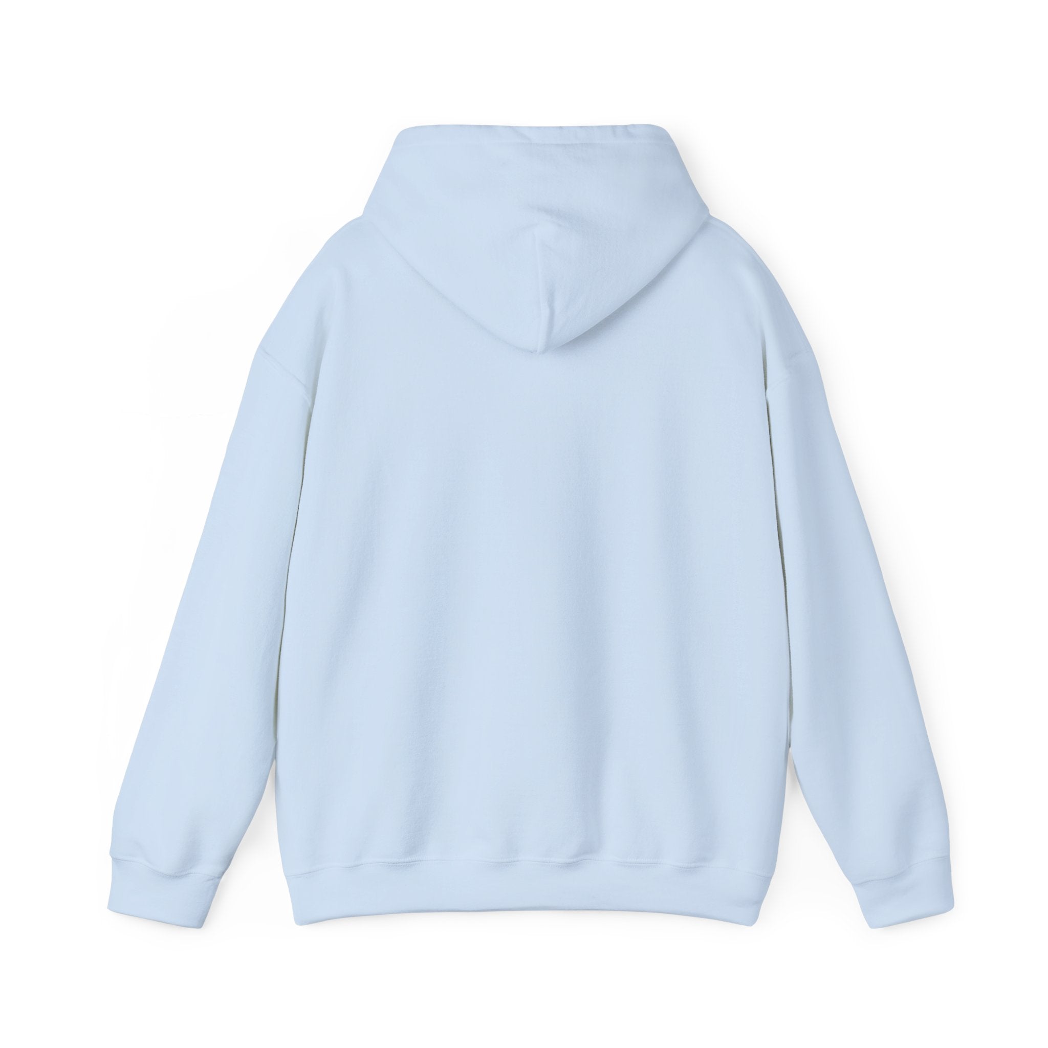 Gouldian Finch Trio Hoodie — Colorful Tropical Bird Graphic Pullover