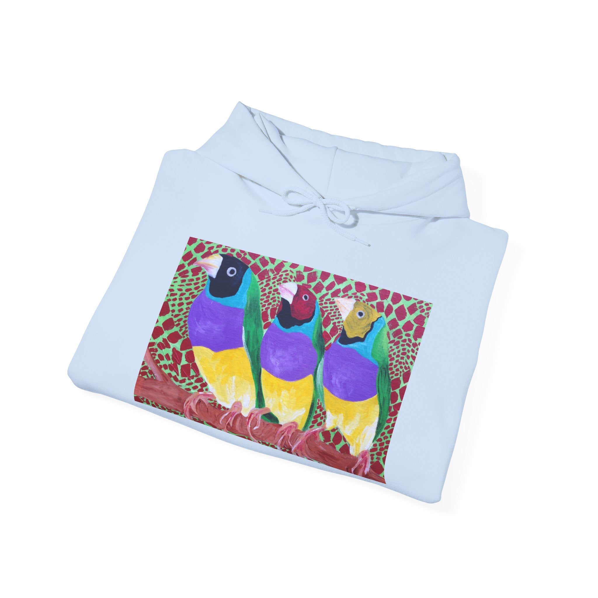 Gouldian Finch Trio Hoodie — Colorful Tropical Bird Graphic Pullover
