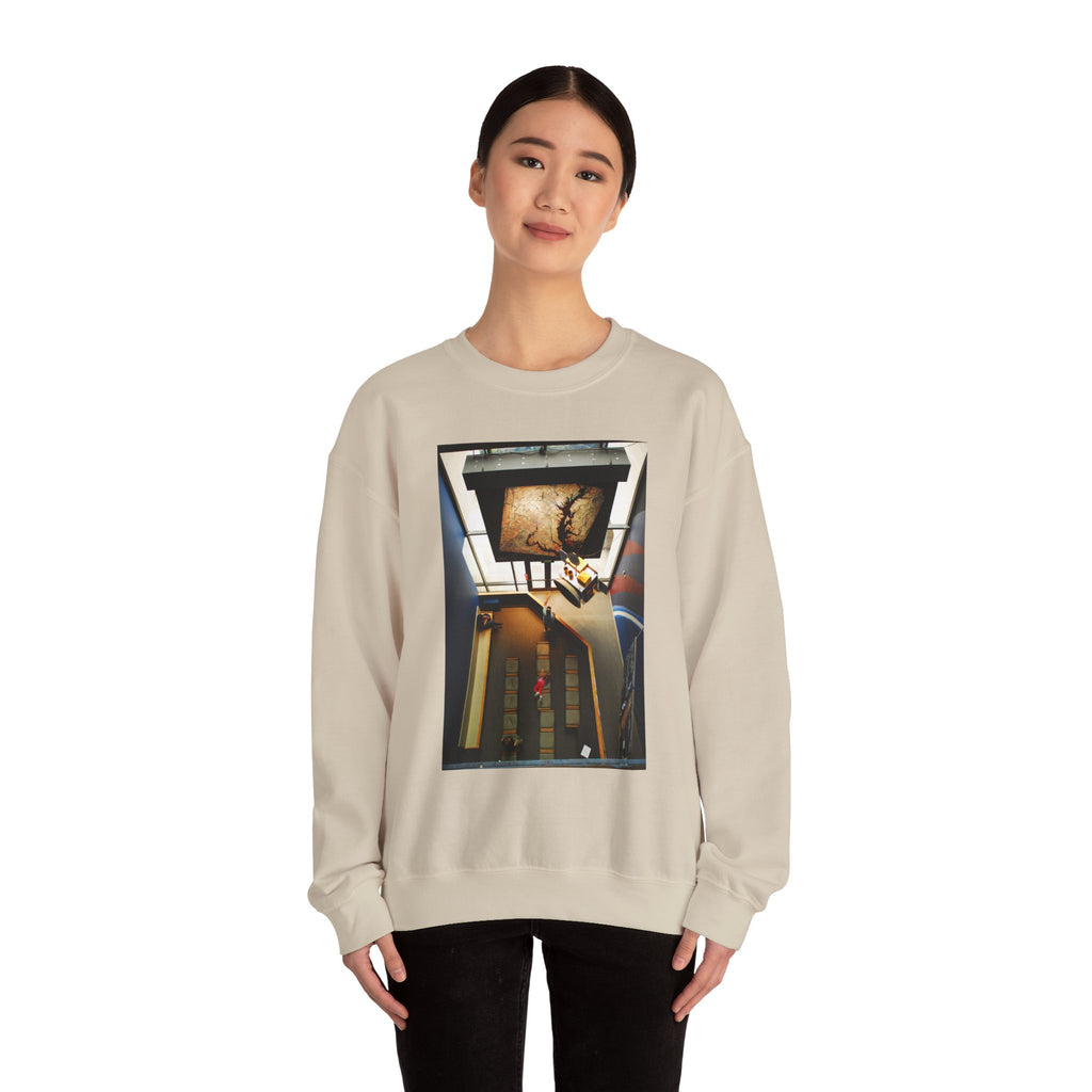 Air & Space Interior Birds-Eye View Sweatshirt