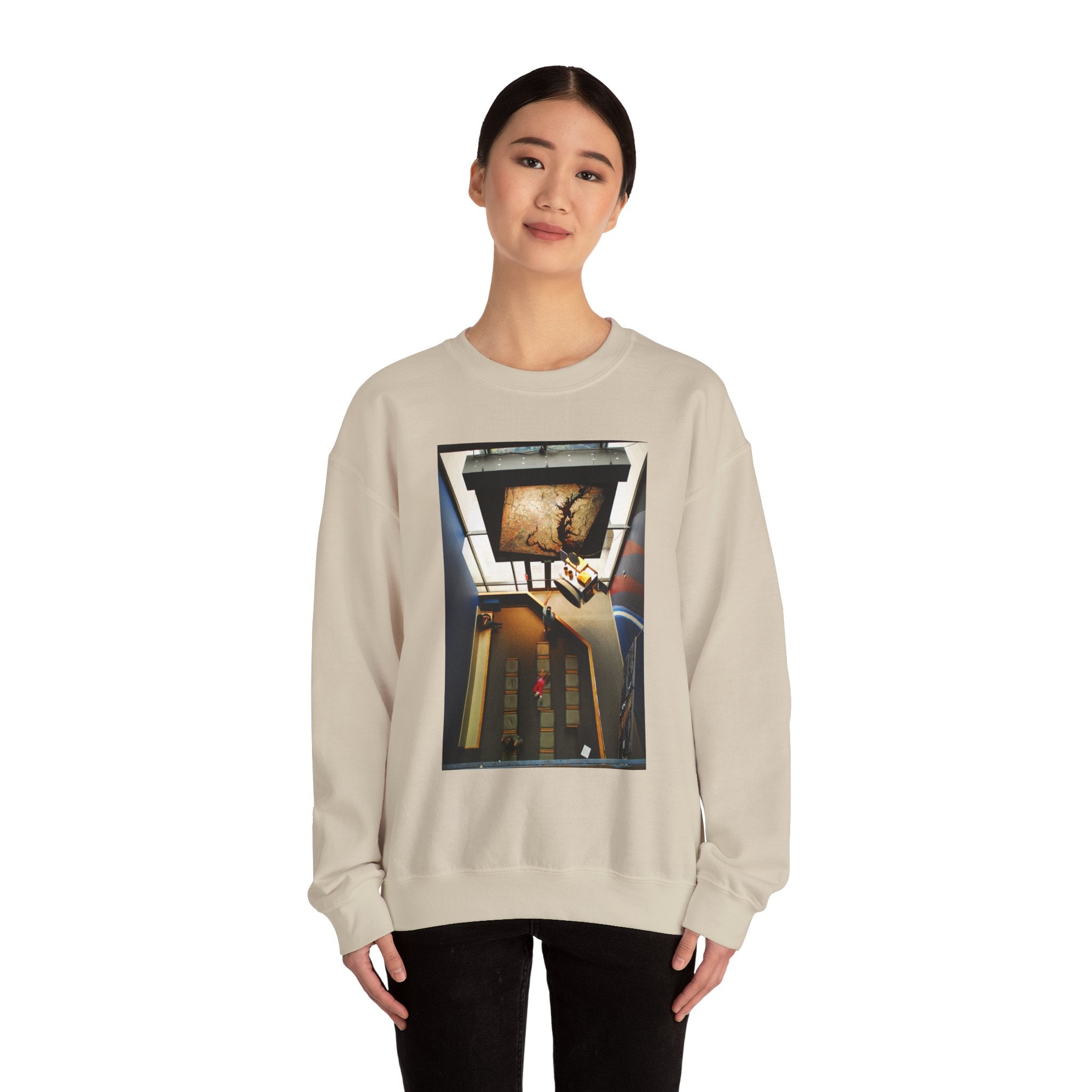 Air & Space Interior Birds-Eye View Sweatshirt