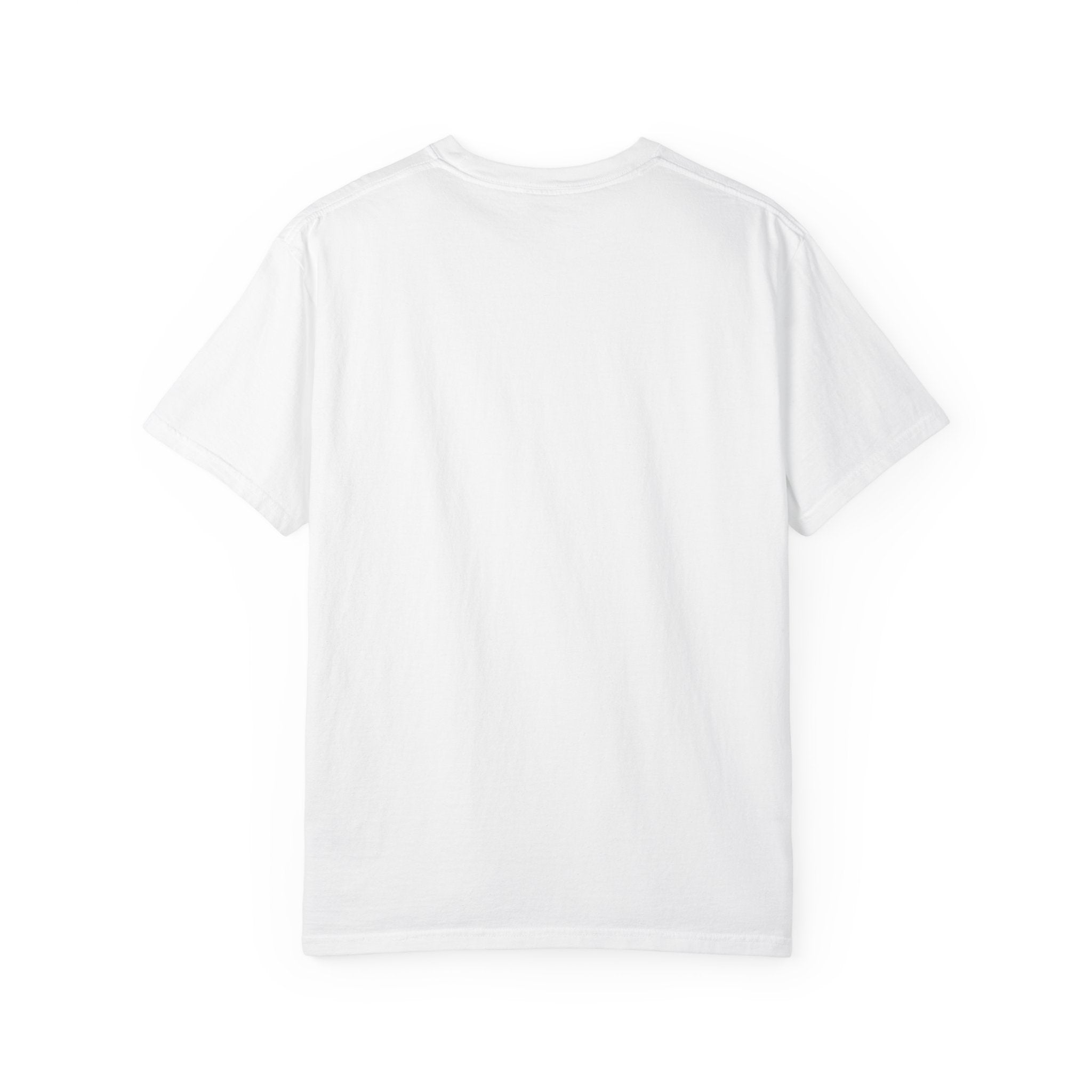 Air & Space Interior Birds-Eye View T-Shirt