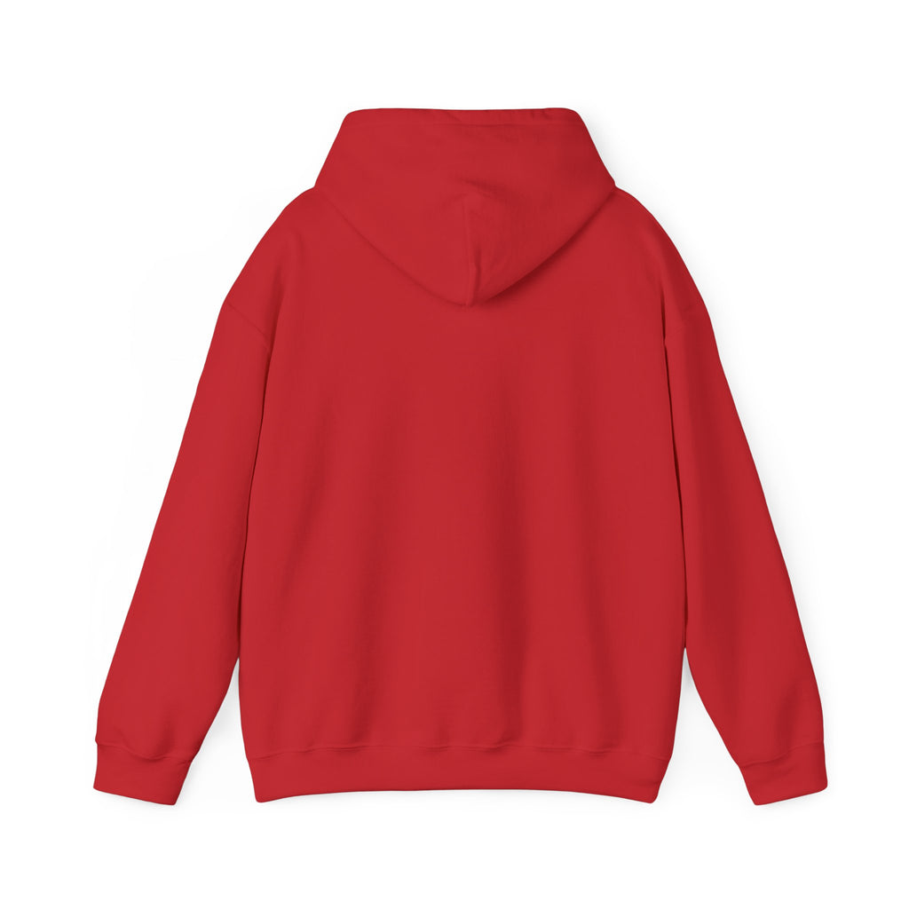 Gouldian Finch Trio Hoodie — Colorful Tropical Bird Graphic Pullover