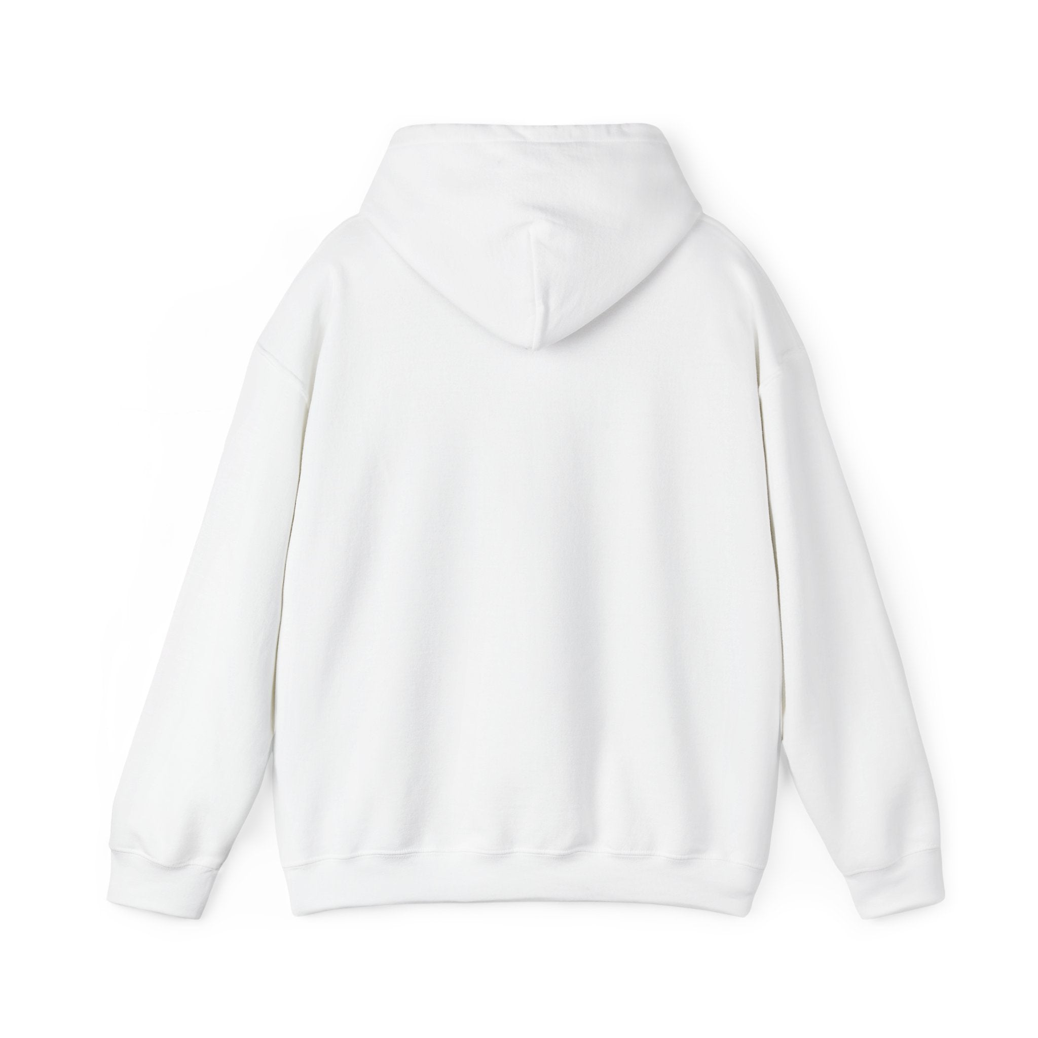 Gouldian Finch Trio Hoodie — Colorful Tropical Bird Graphic Pullover
