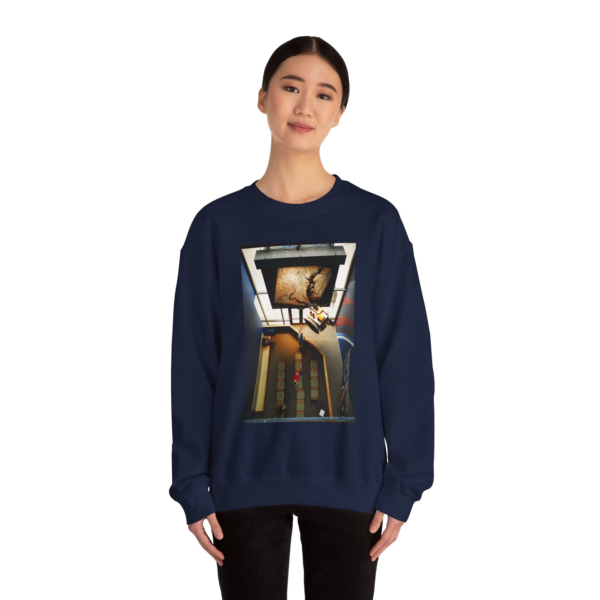 Air & Space Interior Birds-Eye View Sweatshirt