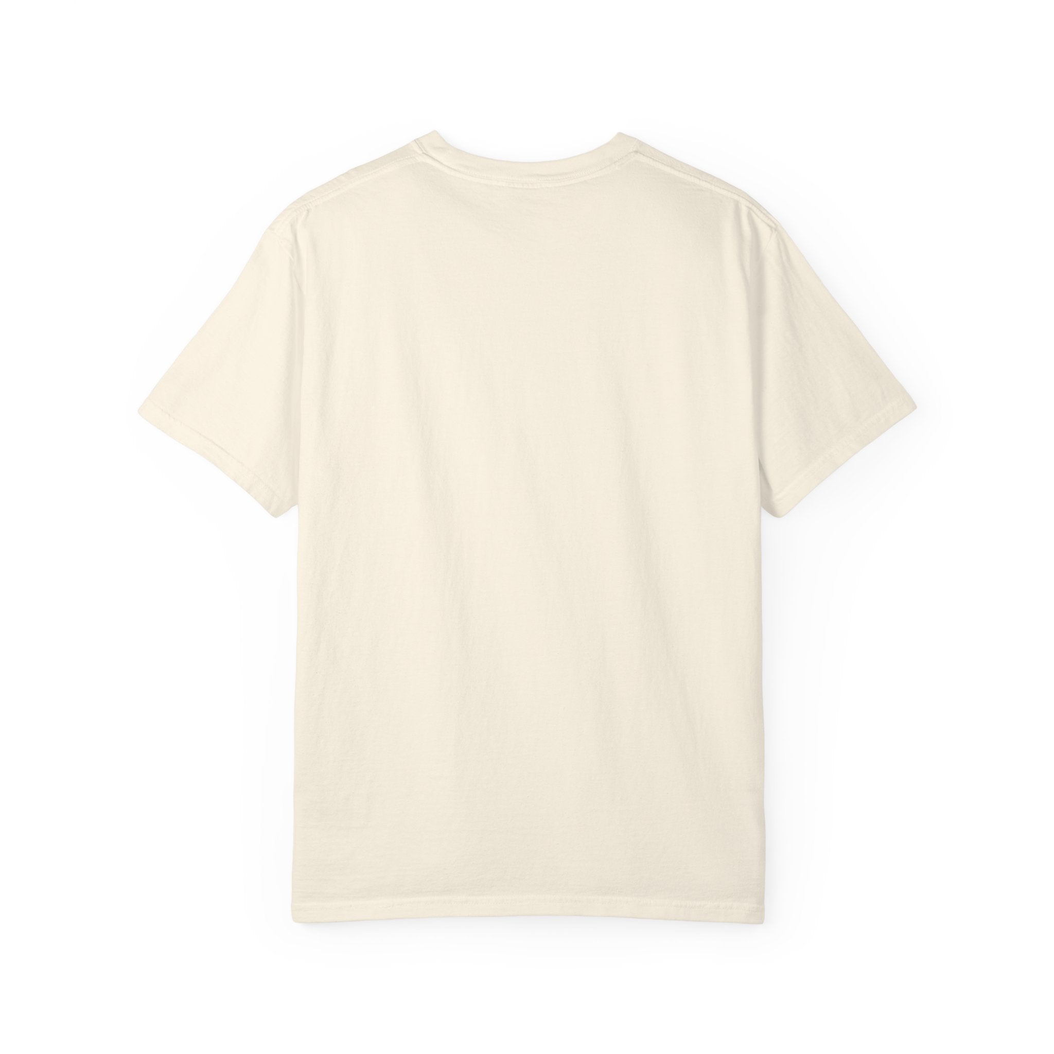 Air & Space Interior Birds-Eye View T-Shirt