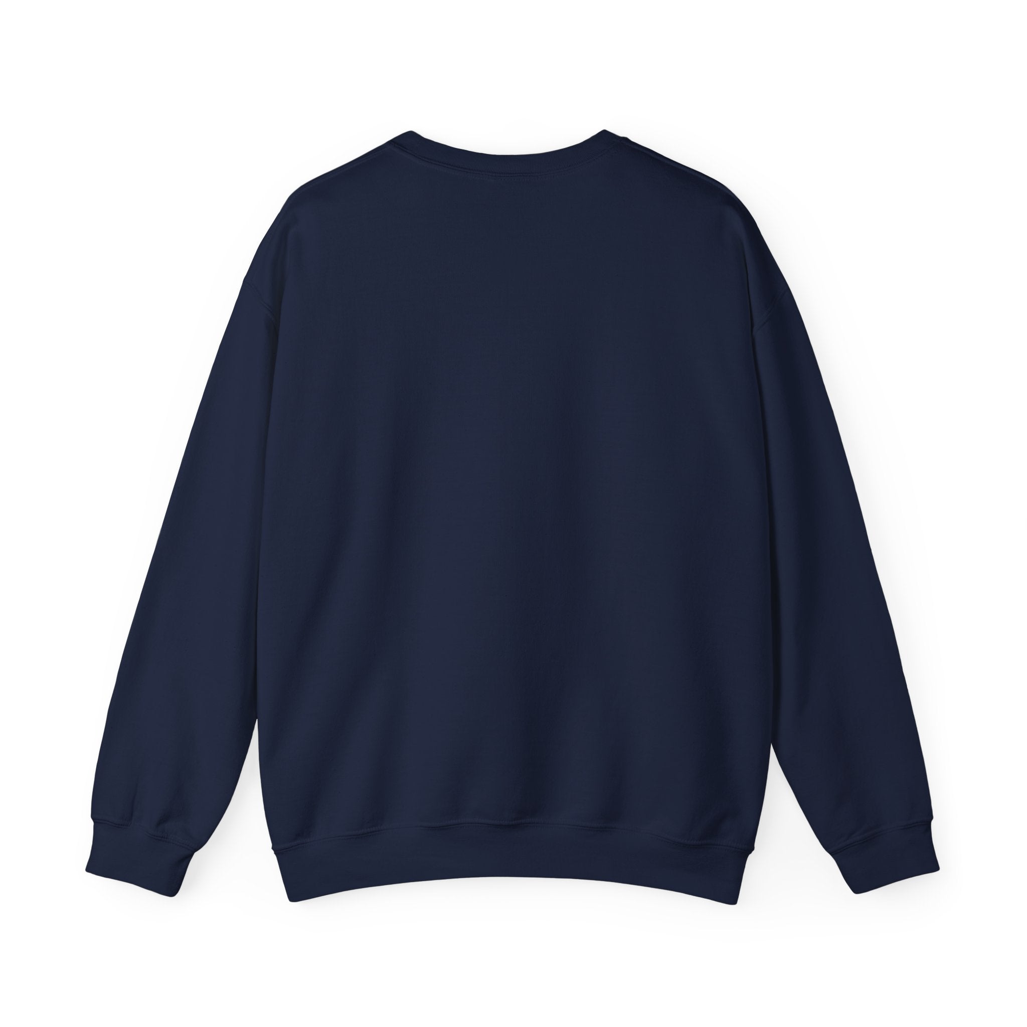 Air & Space Interior Birds-Eye View Sweatshirt