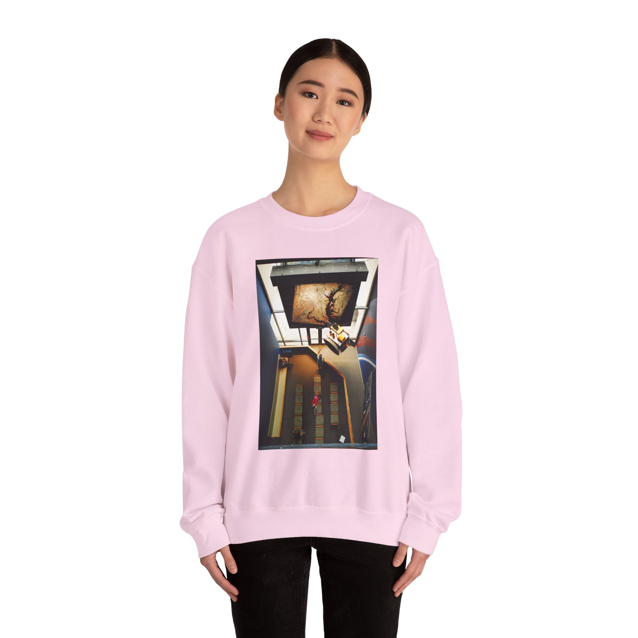 Air & Space Interior Birds-Eye View Sweatshirt