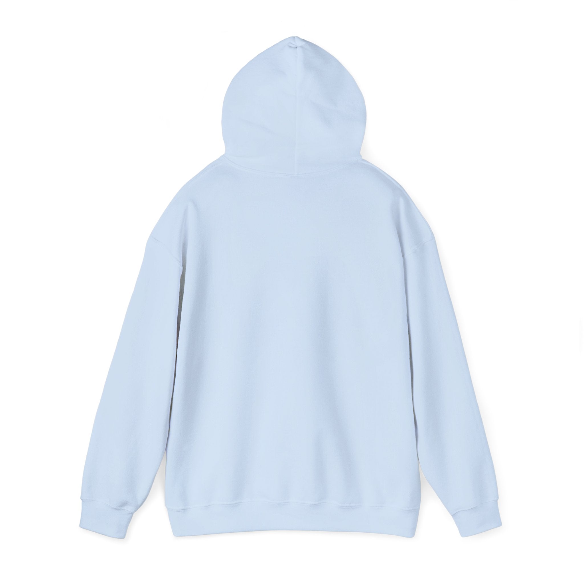 Gouldian Finch Trio Hoodie — Colorful Tropical Bird Graphic Pullover