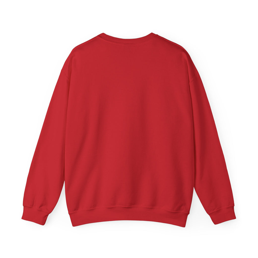 Air & Space Interior Birds-Eye View Sweatshirt