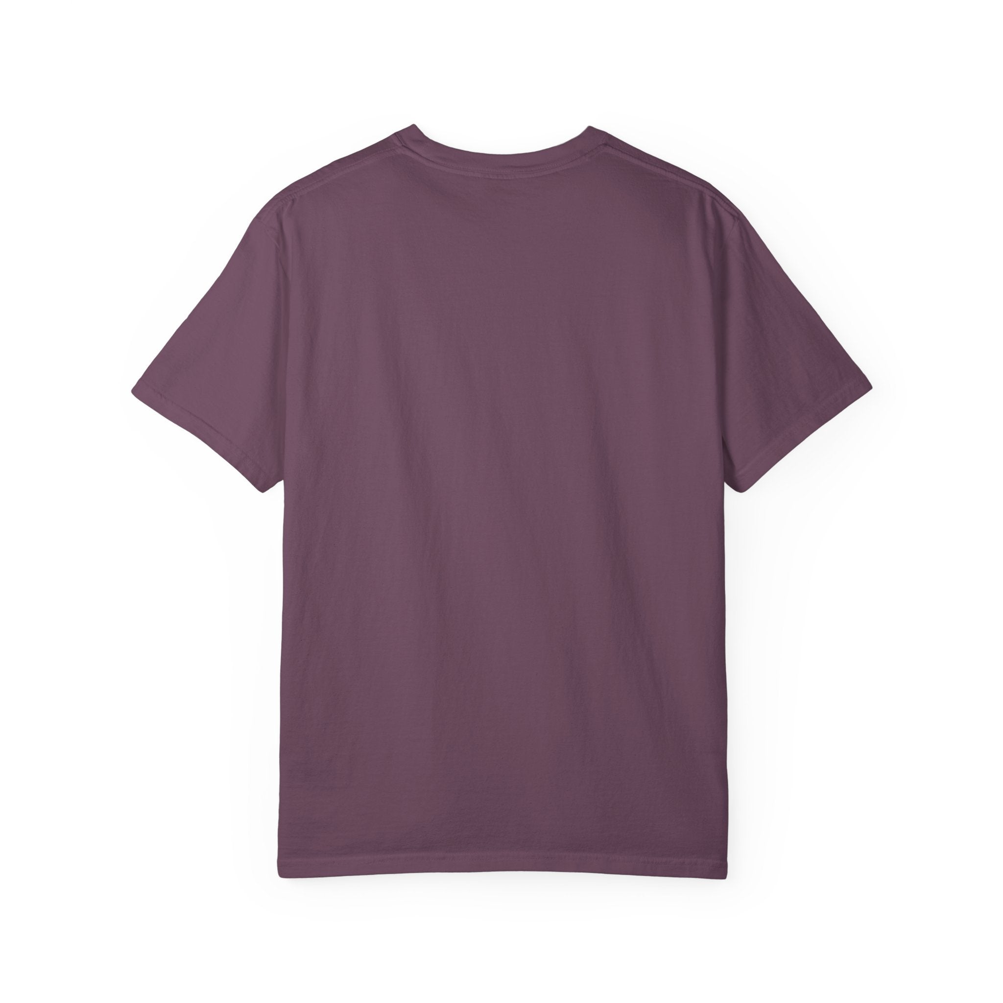Air & Space Interior Birds-Eye View T-Shirt